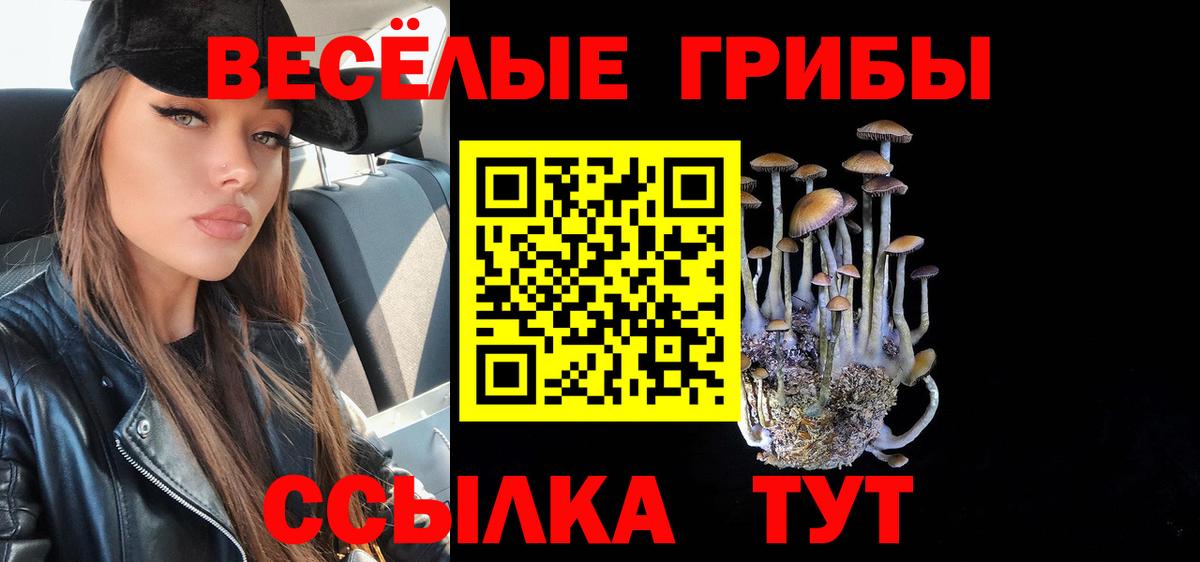Галлюциногенные грибы Magic Shrooms  Псилоцибиновые грибы прущие грибы  Апшеронск  где продают   Вход с VPN 